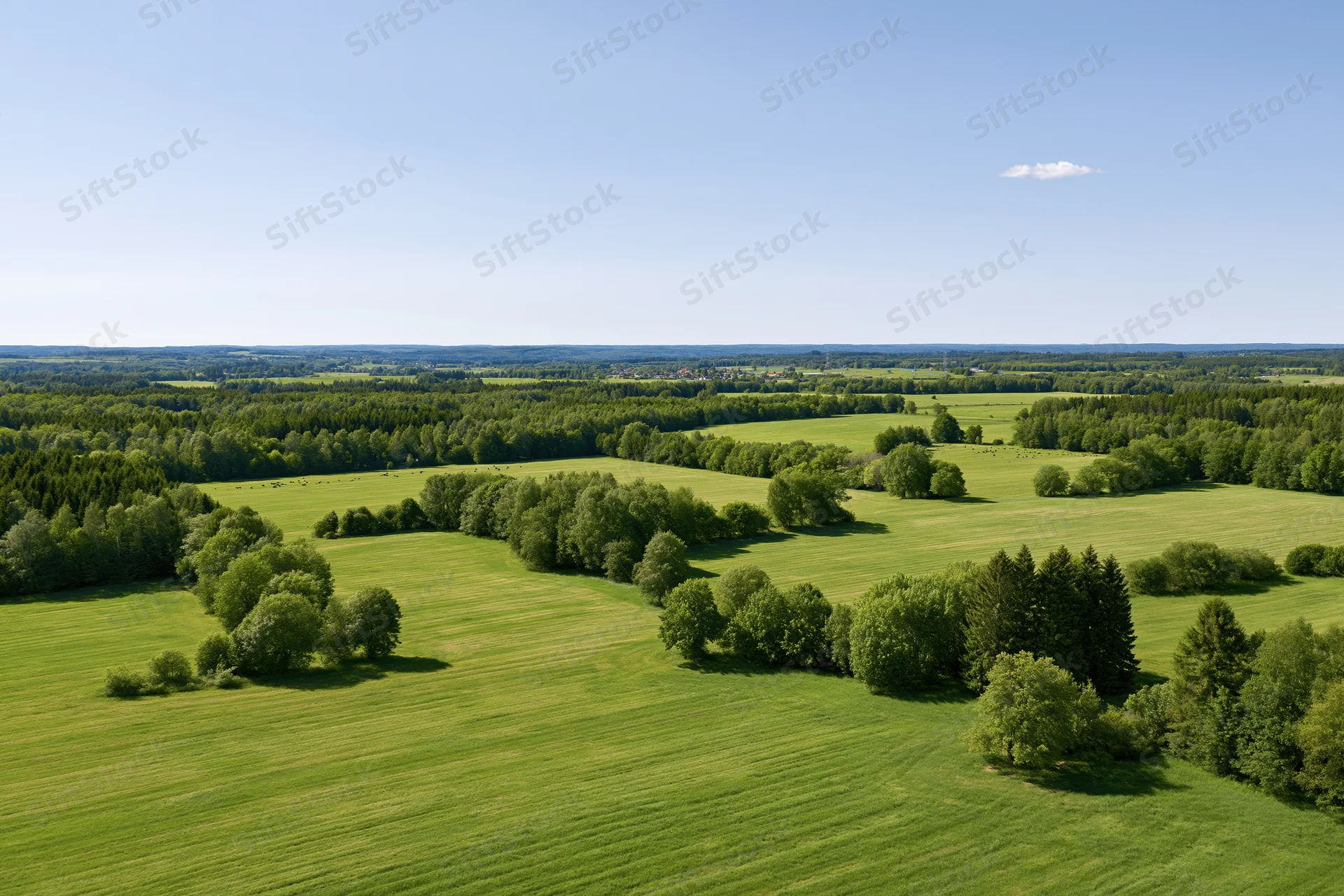 Aerial view of expansive green meadows and mixed forest under clear blue sky