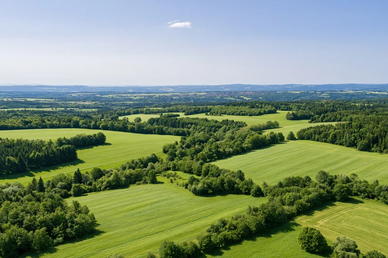 Aerial drone view of expansive green meadows and mixed forest under clear sky