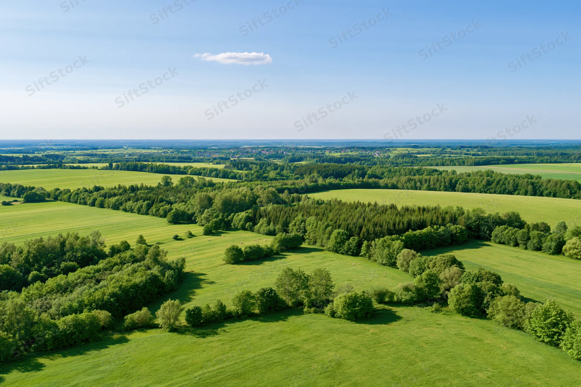 Aerial drone view of expansive green meadows and mixed forest under clear blue sky