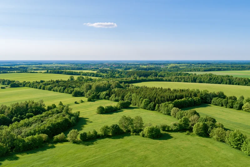Aerial drone view of expansive green meadows and mixed forest under clear blue sky