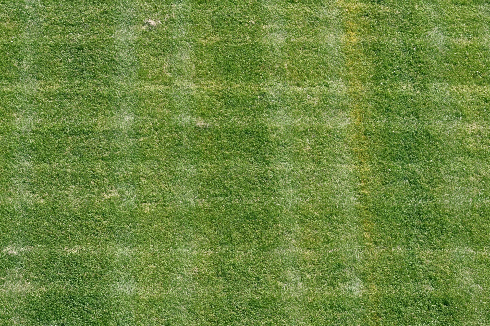 Freshly mowed grass field viewed from above showing striped pattern and even cut surface