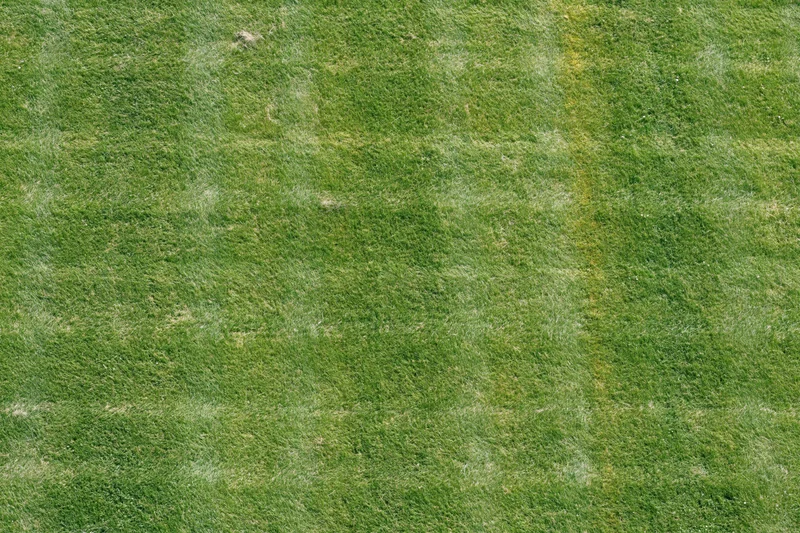 Freshly mowed grass field viewed from above showing striped pattern and even cut surface