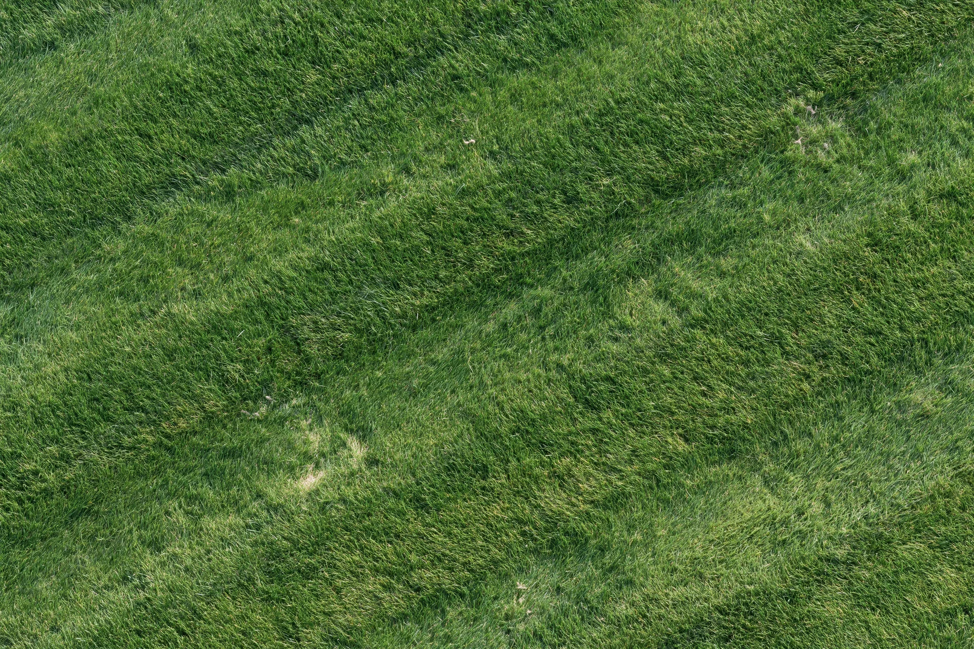 Aerial top-down view of a freshly mowed sports field lawn
