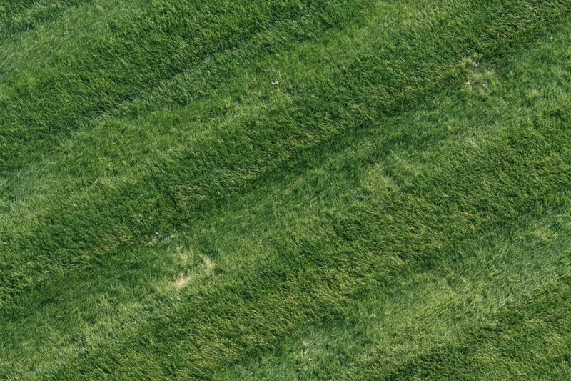 Aerial top-down view of a freshly mowed sports field lawn