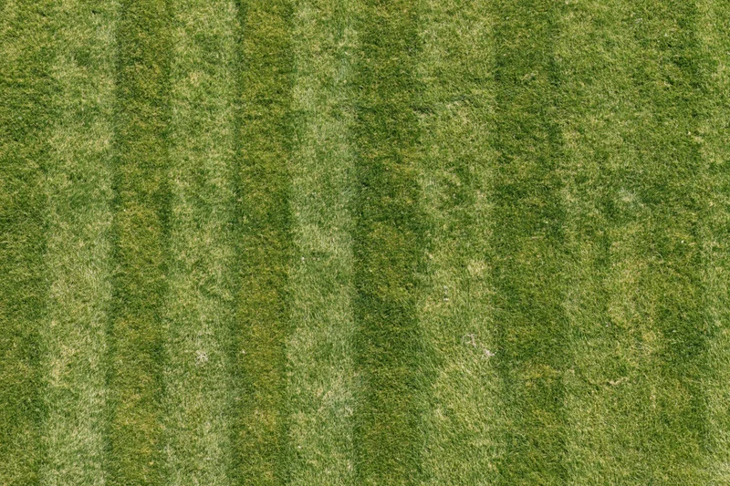 Freshly mowed grass field with striped pattern from top-down view