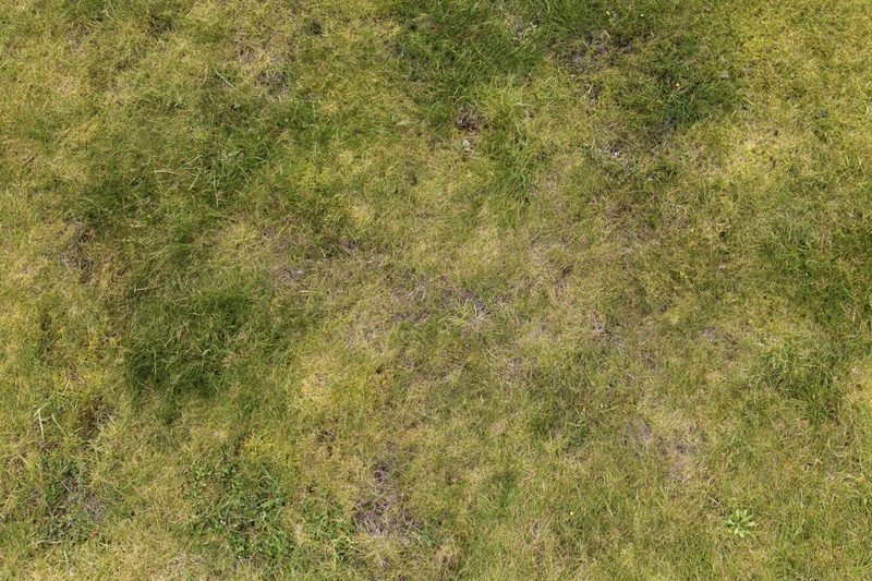 Aerial top-down view of a grass lawn filling the entire frame