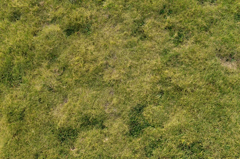 Aerial top-down view of a grass lawn filling the entire frame