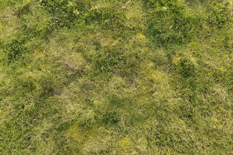 Aerial top-down view of a grass lawn filling the entire frame