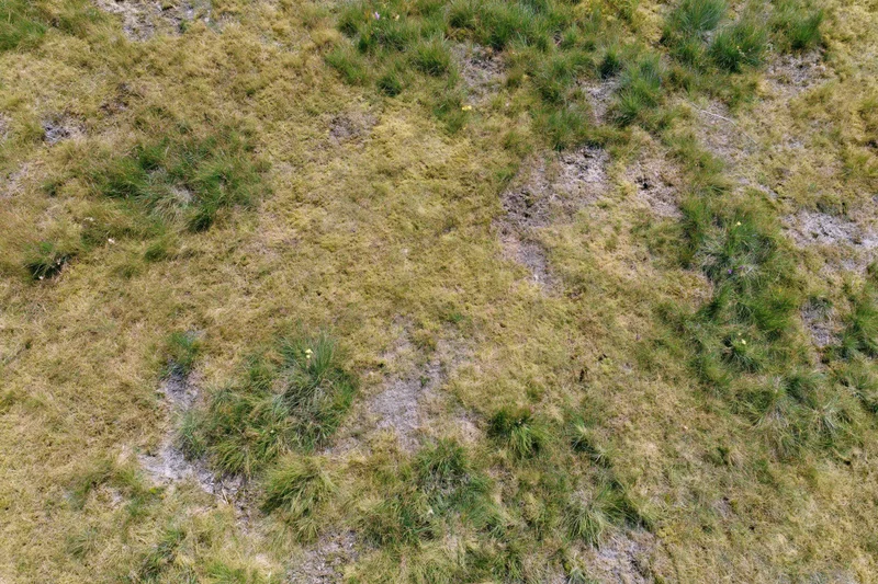 Aerial top-down view of a patchy grass field with uneven growth and exposed soil