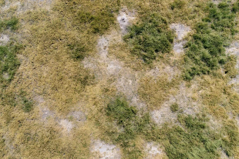 Aerial top-down view of a patchy grass field with uneven growth and exposed soil