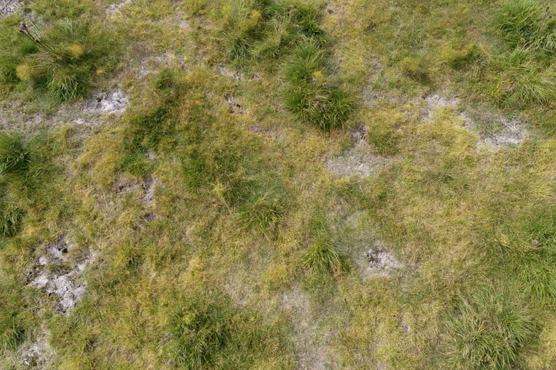 Aerial top-down view of a patchy grass field with uneven growth and exposed soil patches