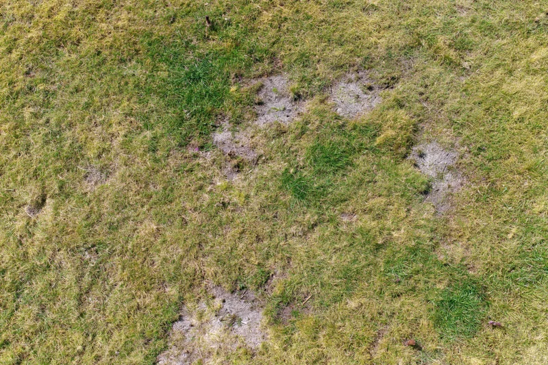 Aerial top-down view of a patchy grass field with uneven growth and exposed soil patches