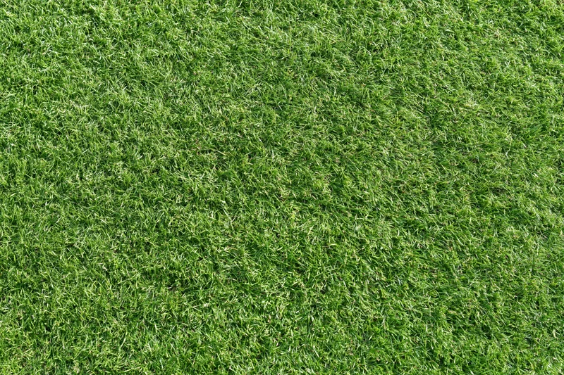 Close-up overhead view of a lush green grass lawn filling the frame