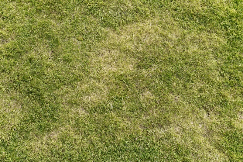 Short green grass lawn viewed from directly above, showing mowed texture and natural variation in color and density