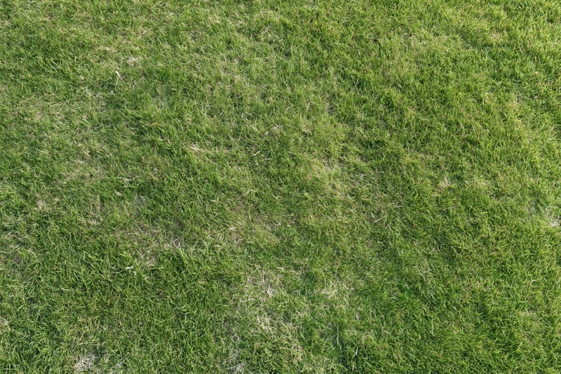 Short green grass lawn viewed from directly above, showing natural texture and slight mowing patterns across the surface
