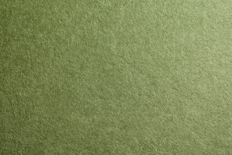 Close-up flat lay of plain olive green fabric surface