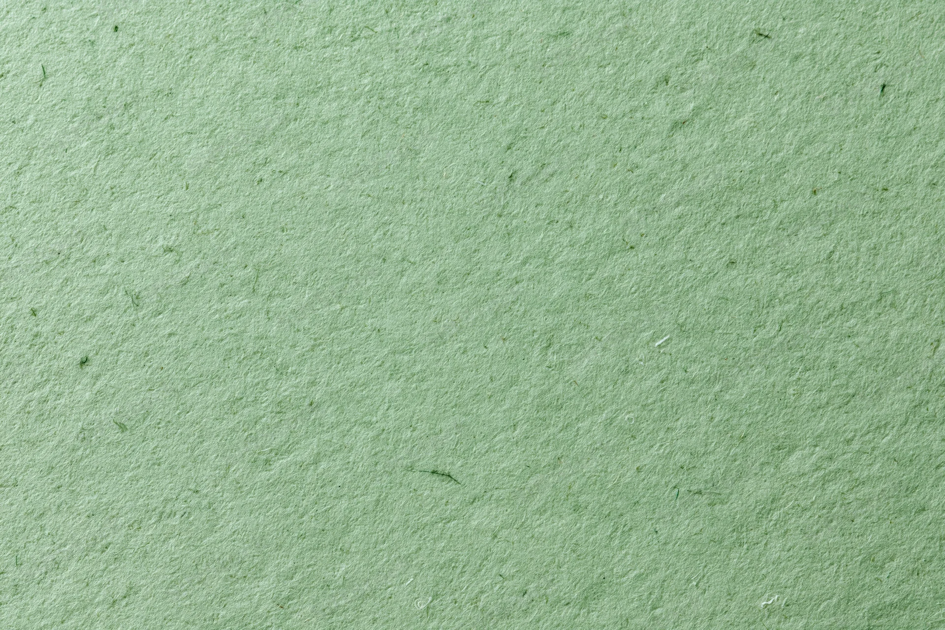Close-up flat lay of a sheet of sage green recycled cardstock with visible fibers and textured surface