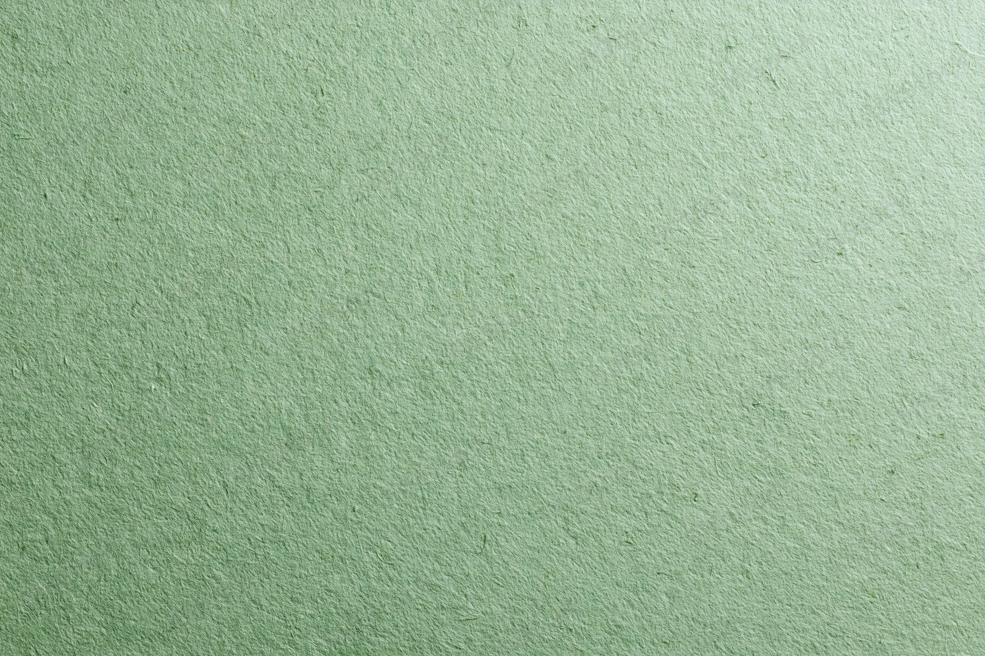 Close-up flat lay of a sheet of sage green recycled cardstock with visible texture and fiber details
