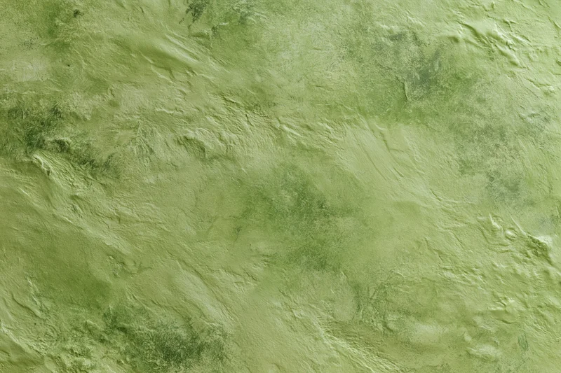 Close-up of a textured green plaster wall surface in flat lay arrangement