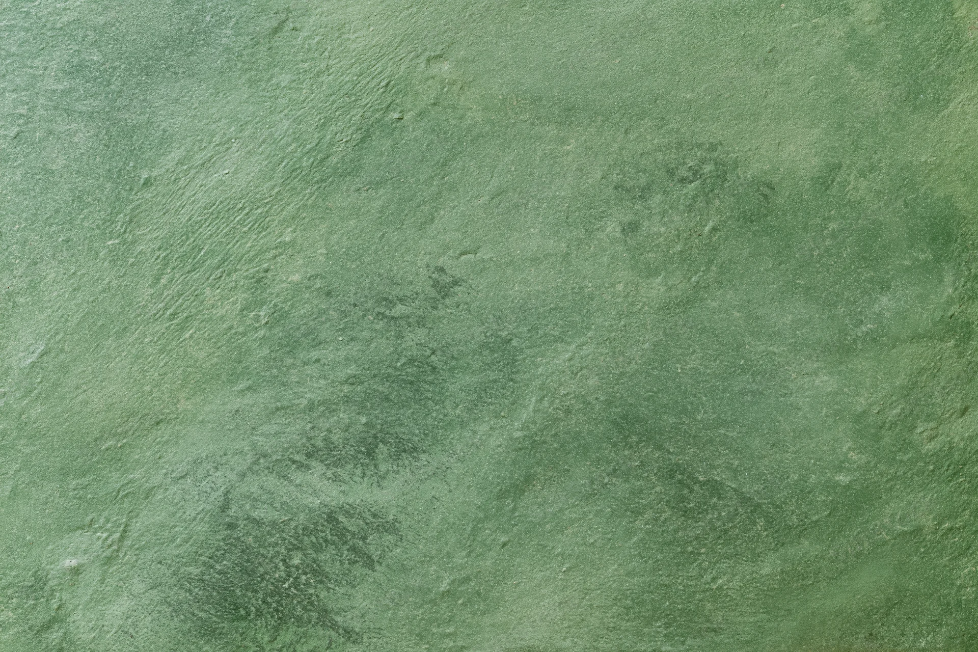Close-up flat lay of a textured green plaster wall surface