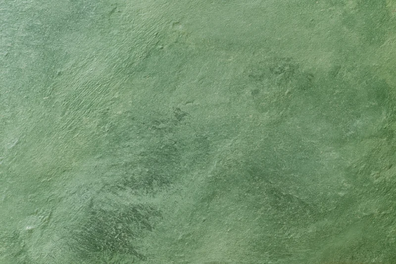 Close-up flat lay of a textured green plaster wall surface