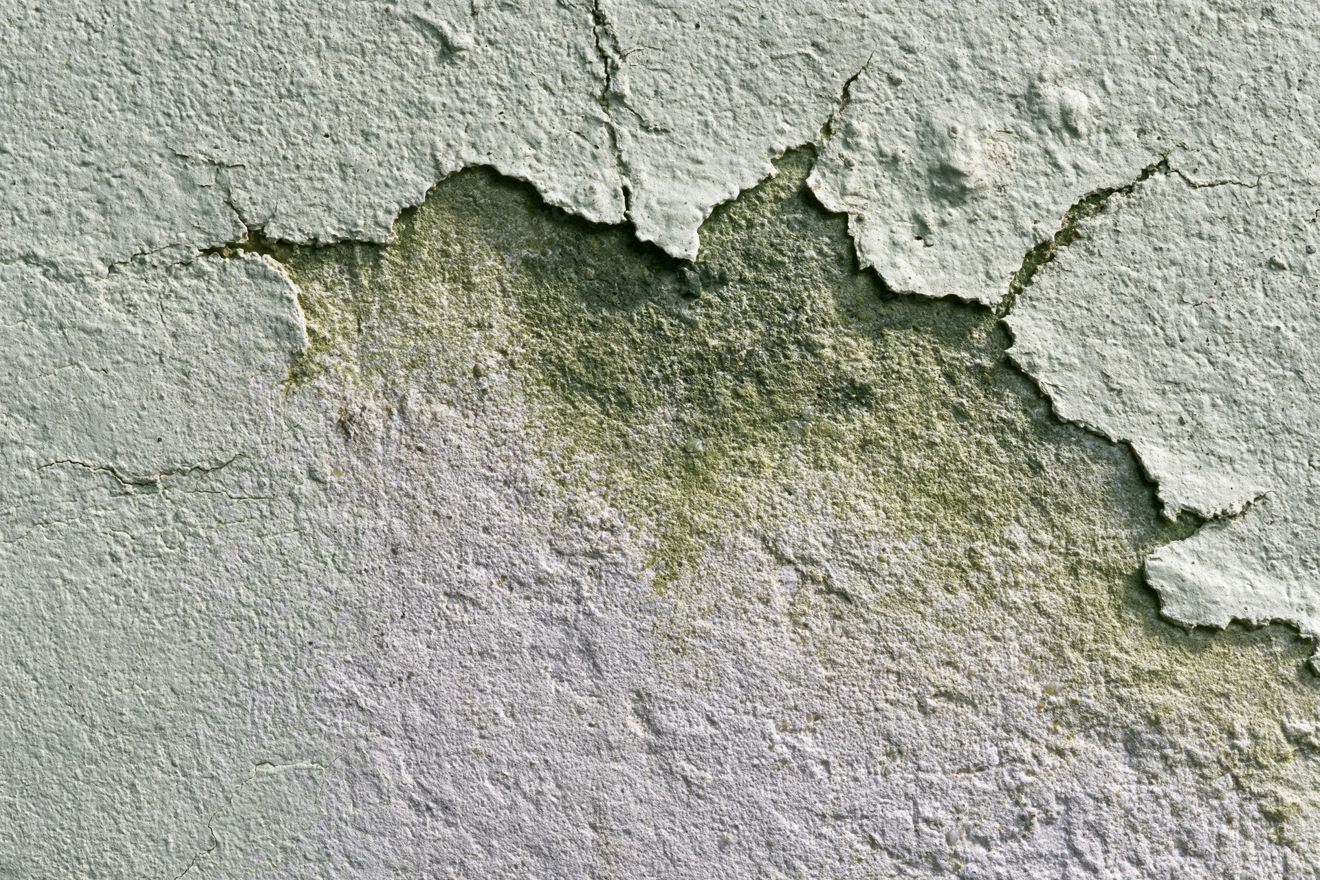 Close-up of cracked and peeling aged concrete wall surface showing mold and weathering