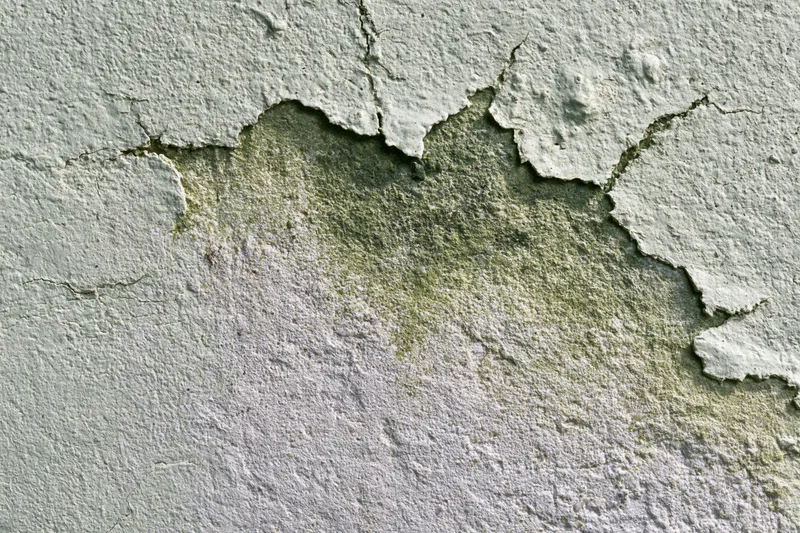 Close-up of cracked and peeling aged concrete wall surface showing mold and weathering