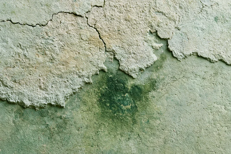 Close-up of cracked and peeling aged concrete wall surface showing weathered texture and green discoloration