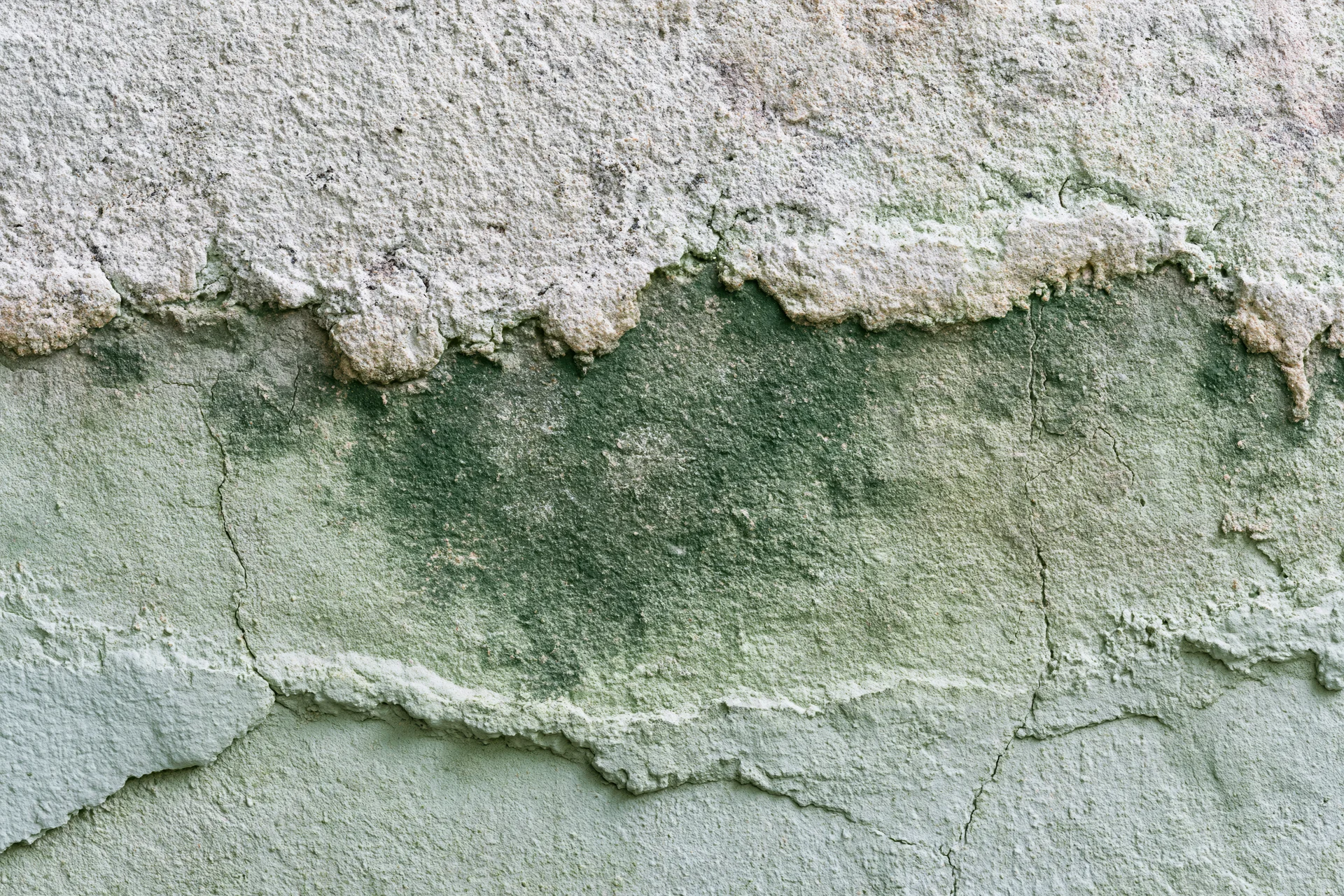 Aged concrete wall surface with peeling plaster and green mold stains