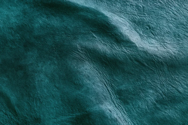 Close-up flat lay of dark forest green leather or suede material with natural texture and folds