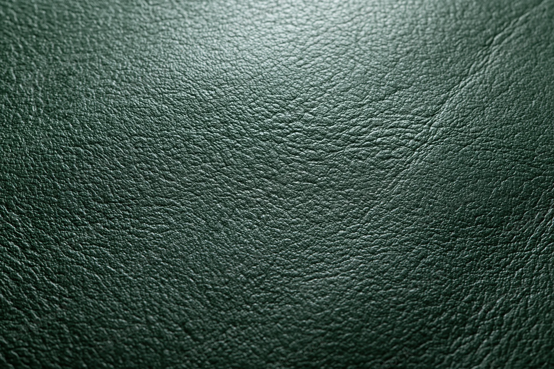 Dark forest green leather surface in close-up flat lay arrangement