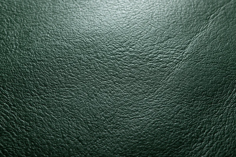 Dark forest green leather surface in close-up flat lay arrangement