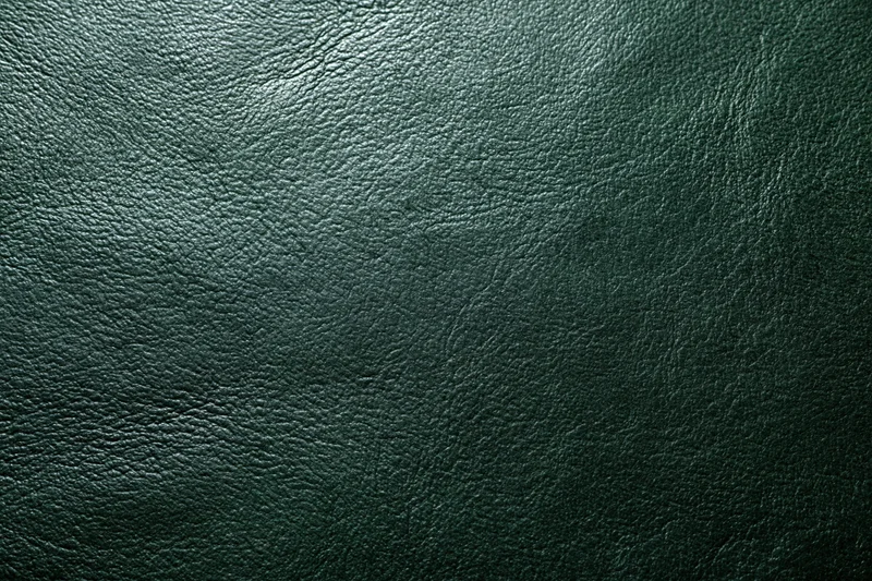 Dark forest green leather surface in flat lay closeup filling frame