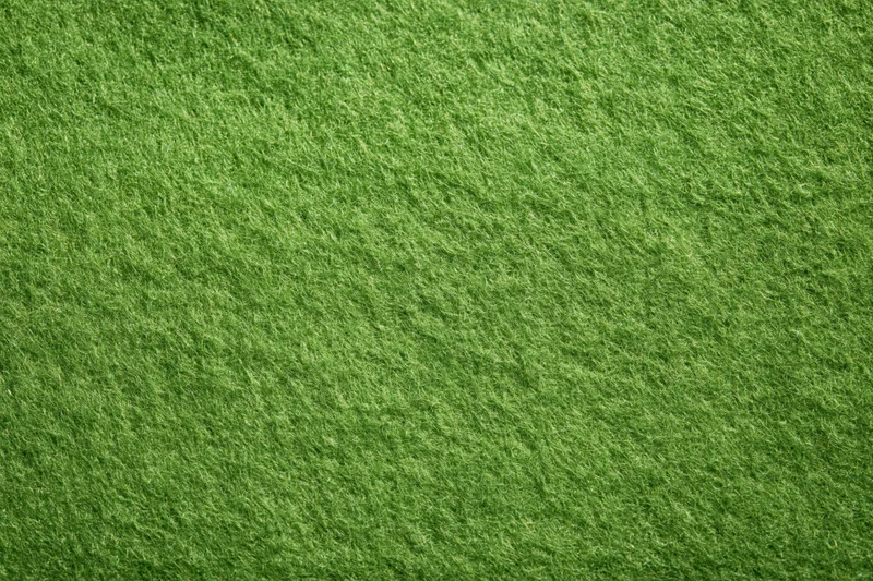 Close-up flat lay of green felt fabric texture filling the frame