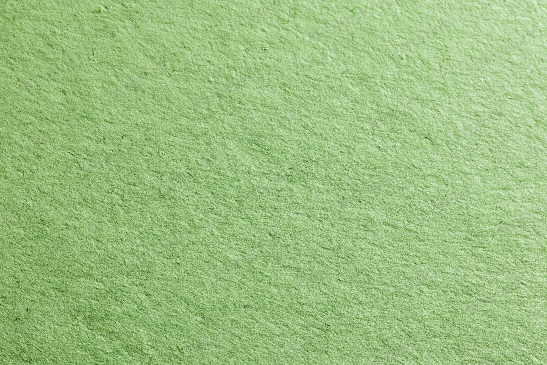 Close-up flat lay of green recycled cardstock paper filling the frame