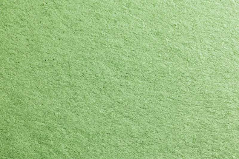 Close-up flat lay of green recycled cardstock paper filling the frame