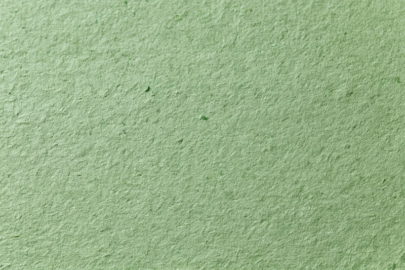 Close-up flat lay of green recycled cardstock paper filling the frame