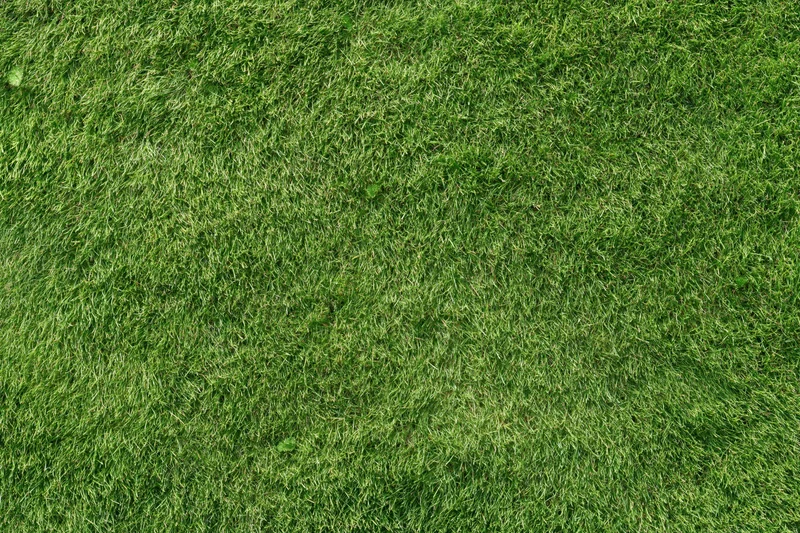 Close-up overhead view of freshly mowed green grass on a sports field