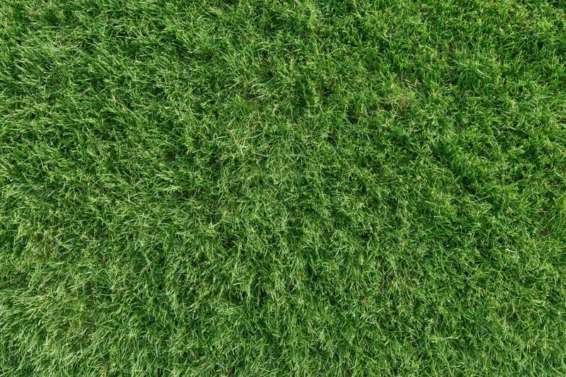 Close-up overhead view of freshly mowed green grass on a sports field