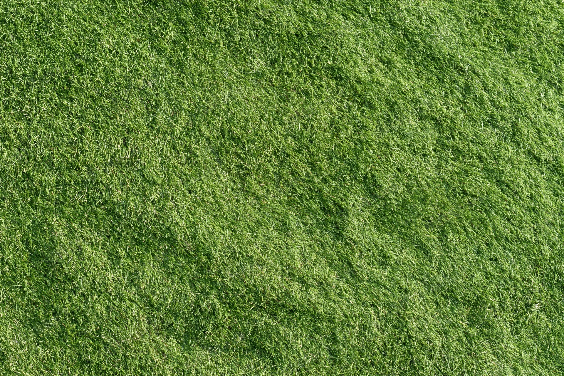 Close-up overhead view of freshly mowed green grass on a sports field