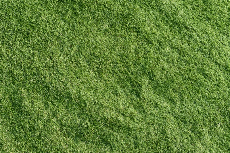 Close-up overhead view of freshly mowed green grass on a sports field