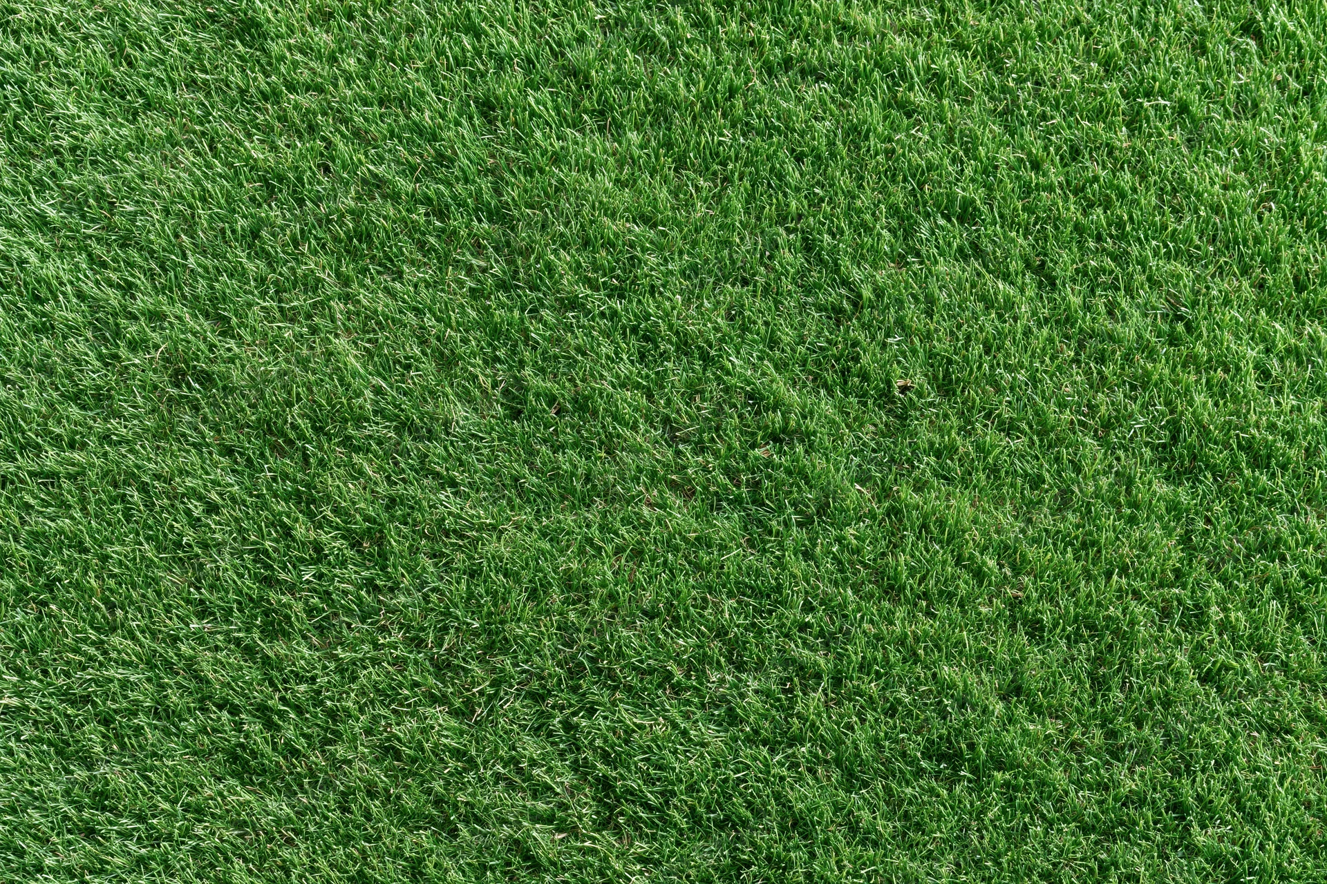 Close-up overhead view of freshly mowed green grass on a sports field