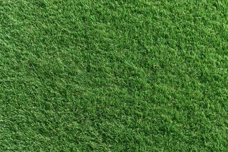 Close-up overhead view of freshly mowed green grass on a sports field