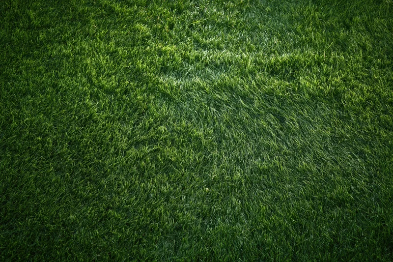 Close-up overhead view of a well-maintained green sports field lawn