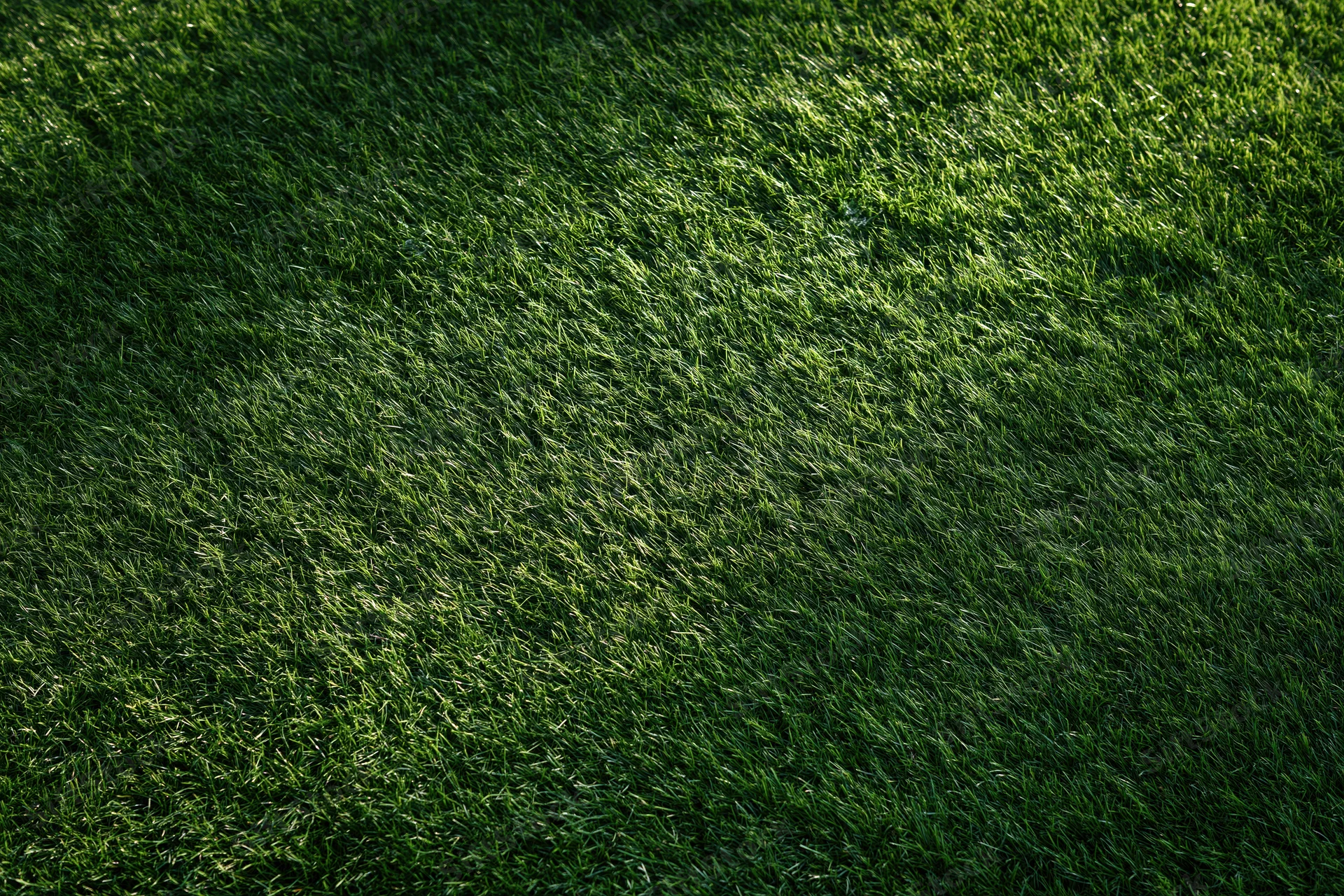 Close-up overhead view of a well-maintained green sports field lawn