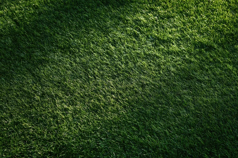 Close-up overhead view of a well-maintained green sports field lawn