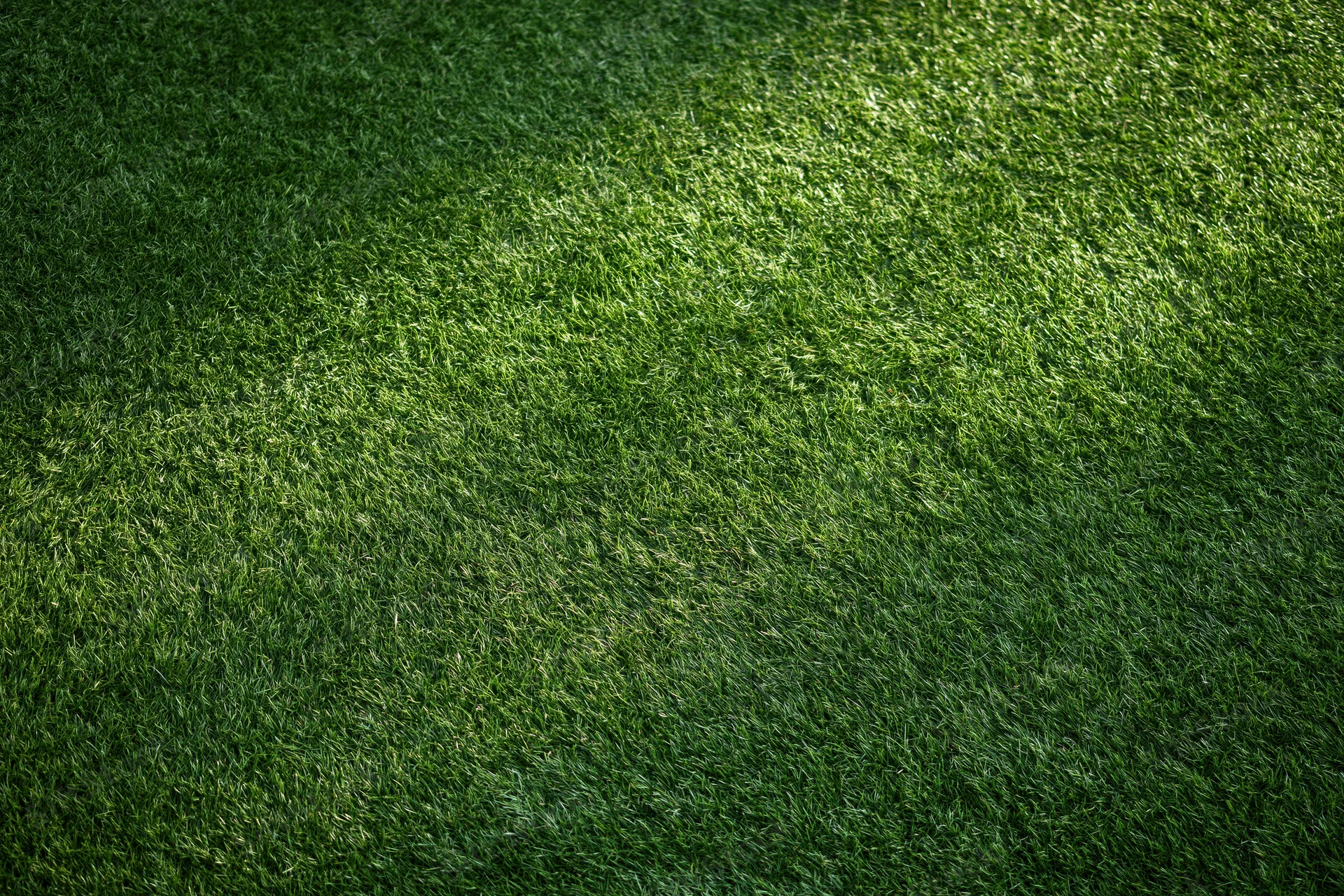 Close-up overhead view of a well-maintained grass sports field