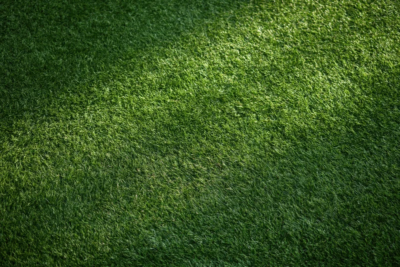 Close-up overhead view of a well-maintained grass sports field
