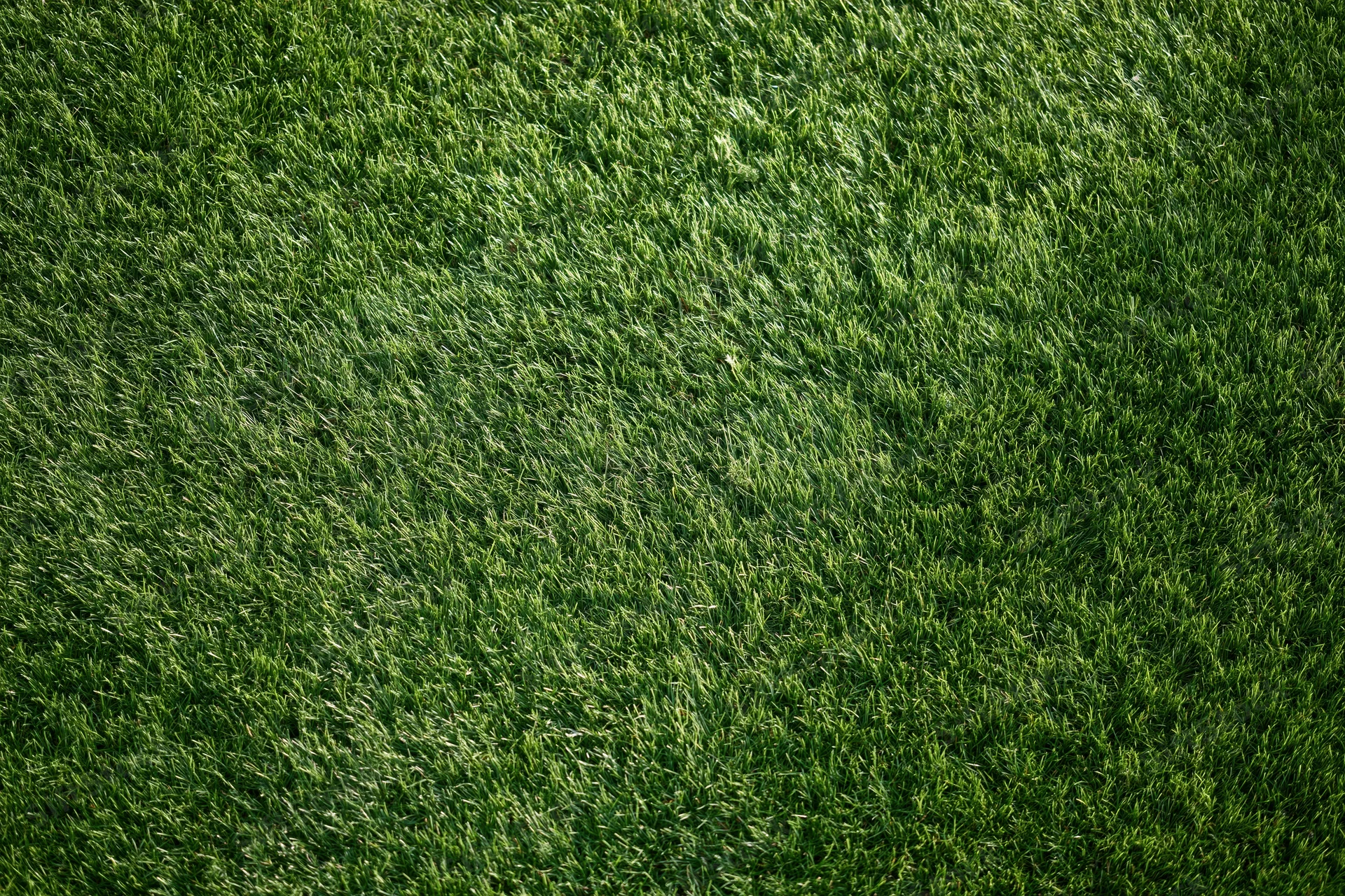 Close-up overhead view of a well-maintained green sports field lawn