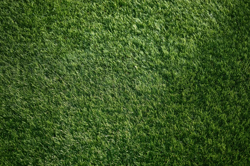 Close-up overhead view of a well-maintained green sports field lawn